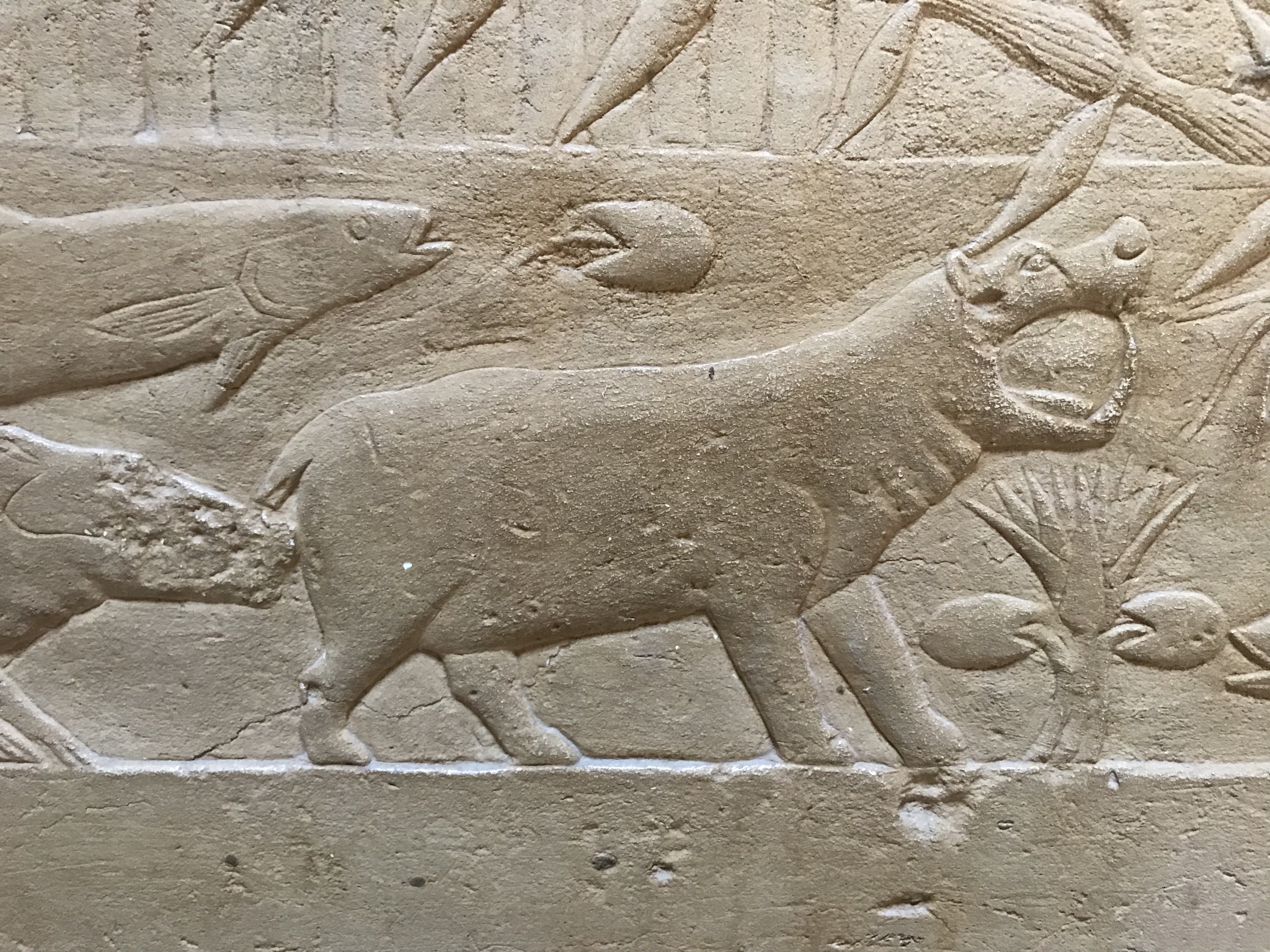 ./2018/16 - Egypt/03 - Pyramids/IMG_0586.jpg